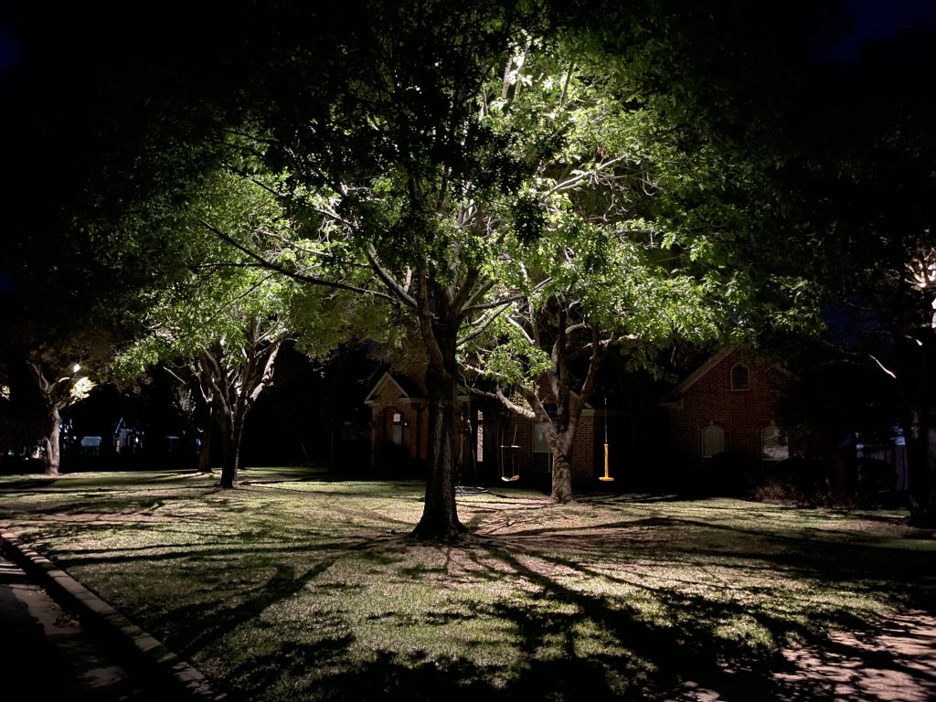 Tree Landscape Lighting