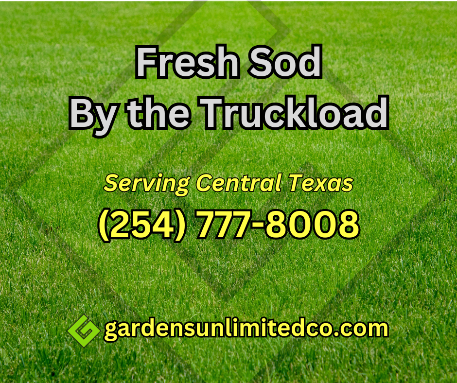 SOD Waco Delivery